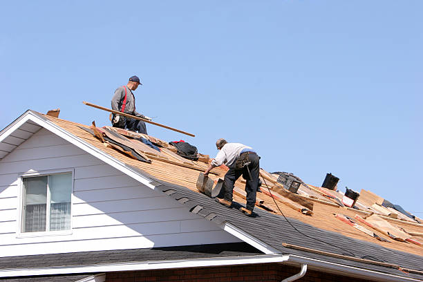 Skylights in Placerville, CA